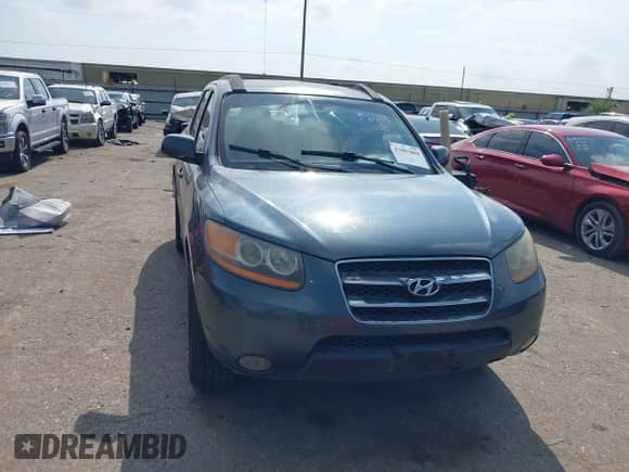 2008 Hyundai Santa Fe SE с VIN 5NMSH13E88H149895, выставлен на аукционе IAAI как лот 43085884 с пробегом 197 789 миль миль и . История ставок и продаж доступна на DreamBid. Изображение 12.