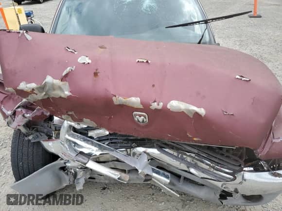 2001 Dodge Dakota Sport with VIN 1B7GL2AX01S140620, listed as a Copart auction lot 51509765 with 230,213 mi miles and Salvage title. Bid and sale history available at DreamBid. Image 11.