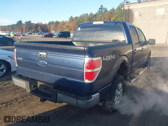 2009 Ford F-150 XL with VIN 1FTPW14VX9FA32666, listed as a IAAI auction lot 43500800 with 310,552 mi miles and . Bid and sale history available at DreamBid. Image 4.