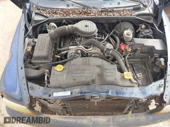 2001 Dodge Dakota Sport with VIN 1B7HL2AX61S265190, listed as a IAAI auction lot 41796670 with 244,645 mi miles and . Bid and sale history available at DreamBid. Image 10.