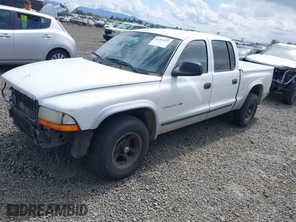 2002 Dodge Dakota SLT with VIN 1B7HL48N42S607446, listed as a IAAI auction lot 42303573 with 250,601 mi miles and . Bid and sale history available at DreamBid. Image 2.