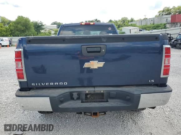 2009 Chevrolet Silverado 1500 Work Truck with VIN 1GCEC14C19Z176961, listed as a Copart auction lot 67823055 with 239,475 mi miles and Salvage title. Bid and sale history available at DreamBid. Image 6.