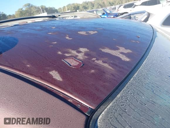 2005 Toyota Sienna CE с VIN 5TDZA23CX5S317262, выставлен на аукционе IAAI как лот 43469064 с пробегом 169 456 миль миль и . История ставок и продаж доступна на DreamBid. Изображение 12.