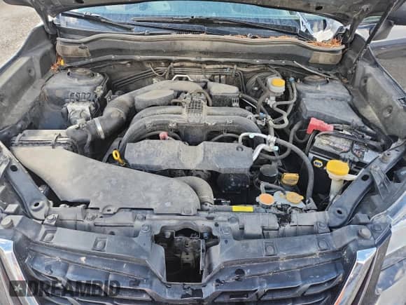 2018 Subaru Forester с VIN JF2SJABC6JH495800, выставлен на аукционе Copart как лот 82242935 с пробегом 120 025 миль миль и Списание • Salvage title. История ставок и продаж доступна на DreamBid. Изображение 11.