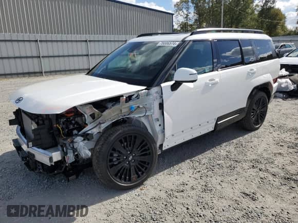 2024 Hyundai Santa Fe Calligraphy с VIN 5NMP5DG11RH002276, выставлен на аукционе Copart как лот 78006574 с пробегом 7 719 миль миль и Списание • Salvage title. История ставок и продаж доступна на DreamBid. Изображение 1.