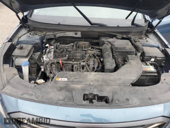 2017 Hyundai Sonata Limited с VIN 5NPE34AF7HH456938, выставлен на аукционе Copart как лот 81579195 с пробегом 180 397 миль миль и Списание • Salvage title. История ставок и продаж доступна на DreamBid. Изображение 11.