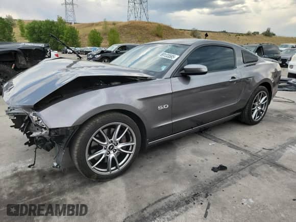 2014 Ford Mustang GT with VIN 1ZVBP8CF0E5299323, listed as a Copart auction lot 69133585 with 56,162 mi miles and Salvage title. Bid and sale history available at DreamBid. Image 1.