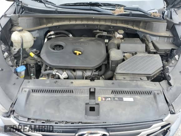 2018 Hyundai Tucson SE with VIN KM8J23A43JU808897, listed as a Copart auction lot 80994965 with Not provided miles and Salvage title. Bid and sale history available at DreamBid. Image 12.