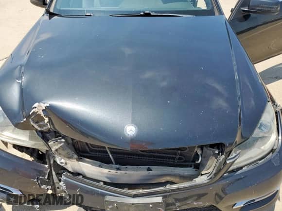 2014 Mercedes-Benz C 250 with VIN WDDGJ4HB6EG295246, listed as a Copart auction lot 59632635 with Not provided miles and Salvage title. Bid and sale history available at DreamBid. Image 11.