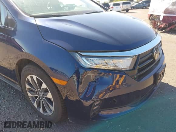 2021 Honda Odyssey EX-L with VIN 5FNRL6H76MB001373, listed as a IAAI auction lot 42951503 with 24,219 mi miles and . Bid and sale history available at DreamBid. Image 17.