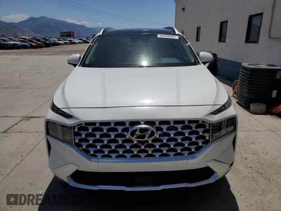 2021 Hyundai Santa Fe Limited with VIN 5NMS4DAL7MH308642, listed as a Copart auction lot 65938585 with 24,372 mi miles and Salvage title. Bid and sale history available at DreamBid. Image 5.