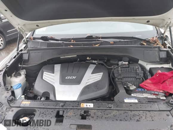 2017 Hyundai Santa Fe SE with VIN KM8SM4HF3HU182998, listed as a IAAI auction lot 43434656 with 115,094 mi miles and . Bid and sale history available at DreamBid. Image 10.