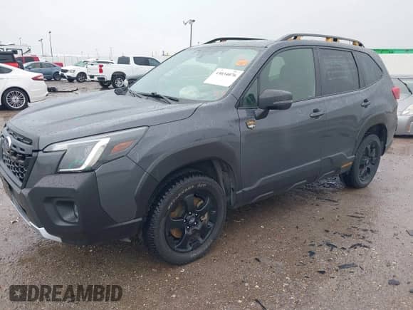 2023 Subaru Forester Wilderness с VIN JF2SKAMC0PH427866, выставлен на аукционе IAAI как лот 43034076 с пробегом 74 789 миль миль и . История ставок и продаж доступна на DreamBid. Изображение 17.