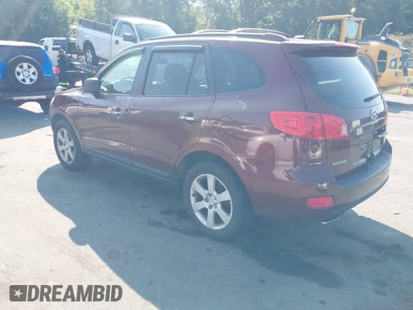 2007 Hyundai Santa Fe SE with VIN 5NMSH73E37H116451, listed as a IAAI auction lot 42967953 with 168,227 mi miles and . Bid and sale history available at DreamBid. Image 3.
