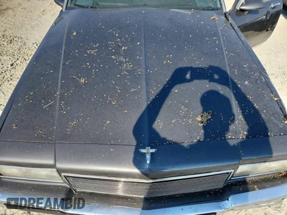 1985 Chevrolet Caprice с VIN 1G1BN69H6FY135833, выставлен на аукционе Copart как лот 80281155 с пробегом 2 381 миль миль и Списание • Salvage title. История ставок и продаж доступна на DreamBid. Изображение 11.
