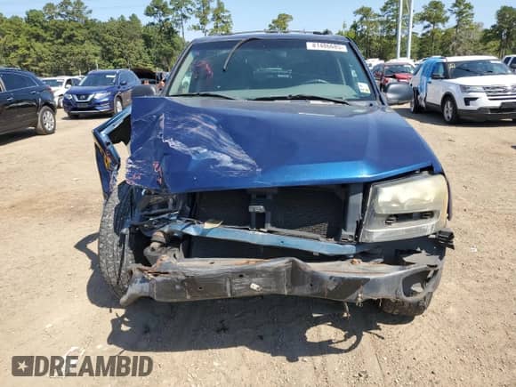 2003 Chevrolet TrailBlazer LS с VIN 1GNDS13S732274956, выставлен на аукционе Copart как лот 81486685 с пробегом Не указан миль и Списание • Salvage title. История ставок и продаж доступна на DreamBid. Изображение 5.