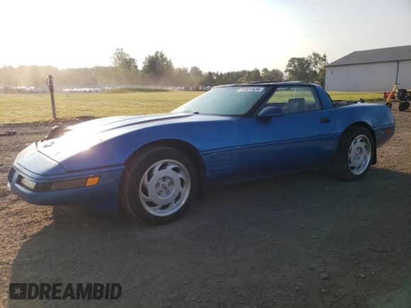 1992 Chevrolet Corvette с VIN 1G1YY23P5N5103935, выставлен на аукционе Copart как лот 71301524 с пробегом 108 774 миль миль и Списание • Salvage title. История ставок и продаж доступна на DreamBid. Изображение 1.