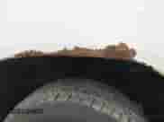 2008 Dodge Dakota Laramie z VIN 1D7HW58N78S562420, wystawiony jako IAAI lot #42646823 z przebiegiem 75 238 mil mil oraz . Historia ofert i sprzedaży dostępna na DreamBid. Obrazek 12.