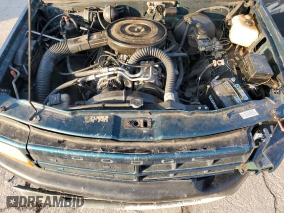1995 Dodge Dakota with VIN 1B7GL23Y4SW941454, listed as a Copart auction lot 79551304 with 177,422 mi miles and Salvage title. Bid and sale history available at DreamBid. Image 13.