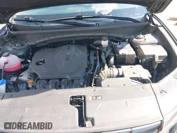 2024 Hyundai Tucson SEL z VIN 5NMJF3DE6RH303890, wystawiony jako IAAI lot #42819432 z przebiegiem 37 171 mil mil oraz . Historia ofert i sprzedaży dostępna na DreamBid. Obrazek 10.