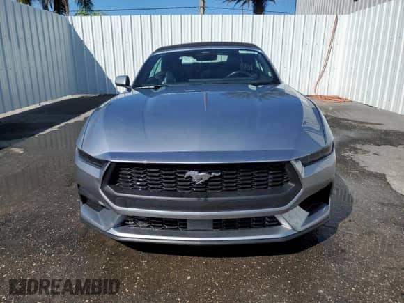 2025 Ford Mustang EcoBoost Premium с VIN 1FAGP8UH9S5117211, выставлен на аукционе Copart как лот 87062385 с пробегом 6 009 миль миль и На запчасти • Non repairable. История ставок и продаж доступна на DreamBid. Изображение 5.