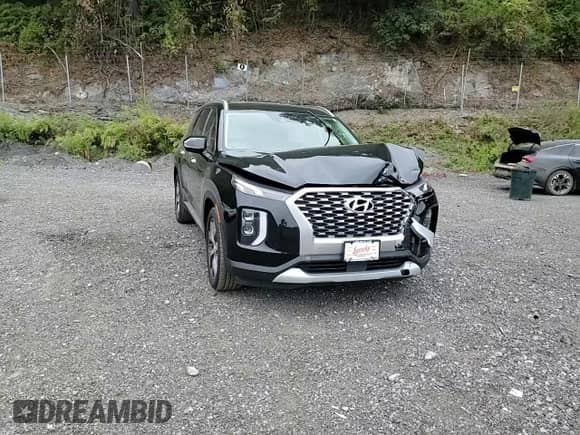 2021 Hyundai Palisade SEL with VIN KM8R4DHE8MU206650, listed as a Copart auction lot 81599495 with 79,750 mi miles and Salvage title. Bid and sale history available at DreamBid. Image 14.