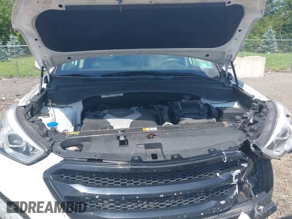 2014 Hyundai Santa Fe with VIN 5XYZWDLA1EG225384, listed as a IAAI auction lot 42518990 with 99,125 mi miles and . Bid and sale history available at DreamBid. Image 10.