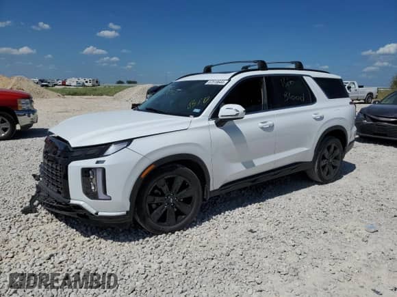 2023 Hyundai Palisade XRT с VIN KM8R34GE7PU556151, выставлен на аукционе Copart как лот 67518644 с пробегом 33 553 миль миль и Списание • Salvage title. История ставок и продаж доступна на DreamBid. Изображение 1.