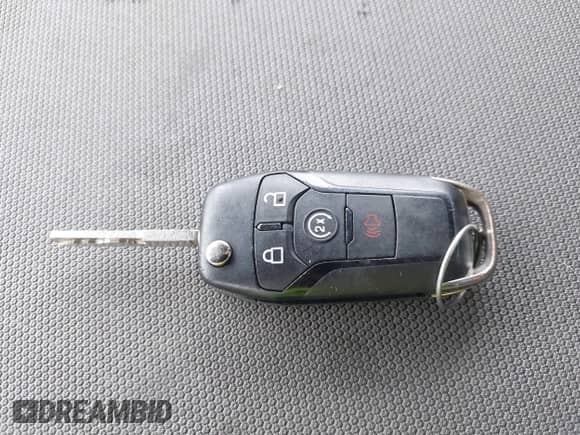 2017 Ford F-150 XL z VIN 1FTFX1EF9HKD62465, wystawiony jako IAAI lot #42456094 z przebiegiem 99 402 mil mil oraz . Historia ofert i sprzedaży dostępna na DreamBid. Obrazek 11.