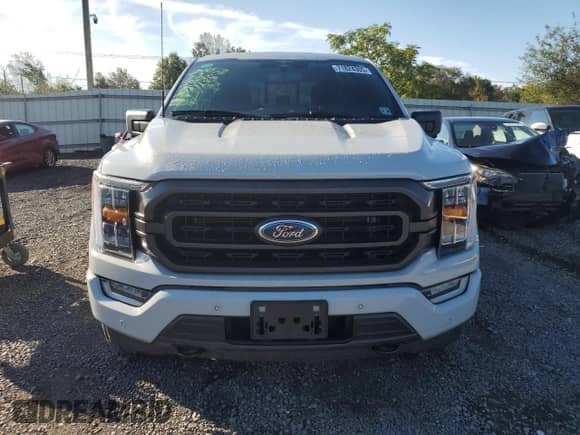 2023 Ford F-150 XL z VIN 1FTEW1EP5PFA80287, wystawiony jako Copart lot #71824305 z przebiegiem 35 949 mil mil oraz Szkoda całkowita • Salvage title. Historia ofert i sprzedaży dostępna na DreamBid. Obrazek 5.