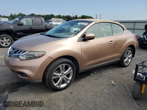 2011 Nissan Murano with VIN JN8AZ1FY1BW003426, listed as a Copart auction lot 68851985 with 171,829 mi miles and Salvage title. Bid and sale history available at DreamBid. Image 1.