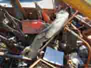 2014 Subaru Forester Premium with VIN JF2SJAEC0EH431625, listed as a IAAI auction lot 43352304 with Not provided miles and . Bid and sale history available at DreamBid. Image 5.