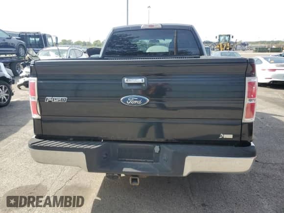 2010 Ford F-150 XL with VIN 1FTFX1EV3AFA10617, listed as a Copart auction lot 82409915 with 123,559 mi miles and Clean title. Bid and sale history available at DreamBid. Image 6.