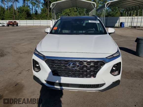 2019 Hyundai Santa Fe Ultimate with VIN 5NMS53AAXKH116022, listed as a Copart auction lot 70222695 with Not provided miles and Salvage title. Bid and sale history available at DreamBid. Image 5.