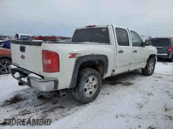 2007 Chevrolet Silverado 1500 LS with VIN 2GCEK13C171574360, listed as a Copart auction lot 44772005 with 102,825 mi miles and Salvage title. Bid and sale history available at DreamBid. Image 3.