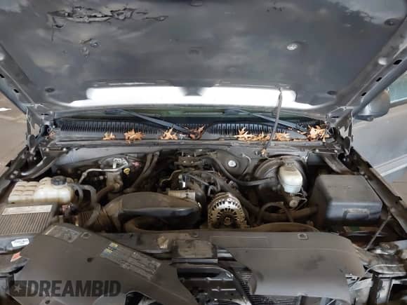 2006 Chevrolet Silverado 1500 LT3 z VIN 2GCEK13T661134570, wystawiony jako IAAI lot #43357401 z przebiegiem 238 723 mil mil oraz . Historia ofert i sprzedaży dostępna na DreamBid. Obrazek 10.