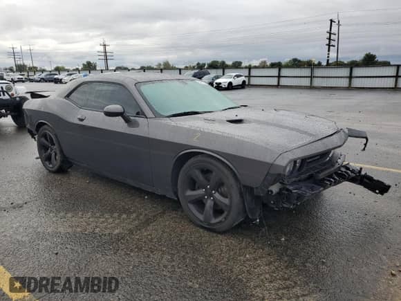 2014 Dodge Challenger R/T Plus with VIN 2C3CDYBT2EH247695, listed as a Copart auction lot 84817345 with 52,335 mi miles and Salvage title. Bid and sale history available at DreamBid. Image 4.