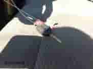 2011 Ford F-150 XL z VIN 1FTFX1CF5BFB58359, wystawiony jako IAAI lot #43329905 z przebiegiem 250 378 mil mil oraz . Historia ofert i sprzedaży dostępna na DreamBid. Obrazek 11.