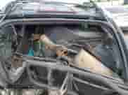 2000 Chevrolet Blazer LS с VIN 1GNCT18W3YK249760, выставлен на аукционе IAAI как лот 42329467 с пробегом Не указан миль и . История ставок и продаж доступна на DreamBid. Изображение 12.