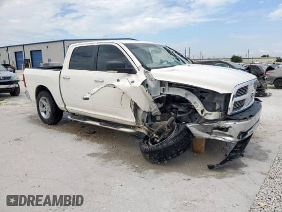 2009 Dodge 1500 SLT with VIN 1D3HV13T49S703125, listed as a Copart auction lot 66484735 with 241,814 mi miles and Salvage title. Bid and sale history available at DreamBid. Image 4.