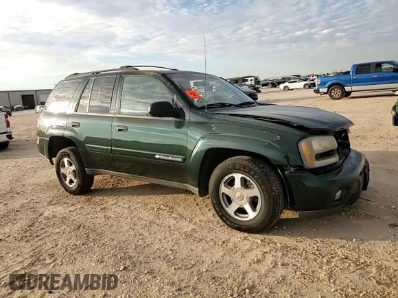 2003 Chevrolet TrailBlazer LT with VIN 1GNDS13S832282533, listed as a Copart auction lot 41462405 with 251,793 mi miles and Salvage title. Bid and sale history available at DreamBid. Image 11.