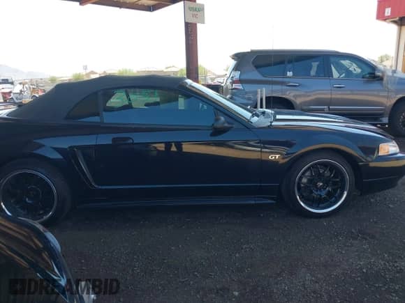 2000 Ford Mustang GT с VIN 1FAFP45X0YF268144, выставлен на аукционе IAAI как лот 43101059 с пробегом 71 791 миль миль и . История ставок и продаж доступна на DreamBid. Изображение 13.