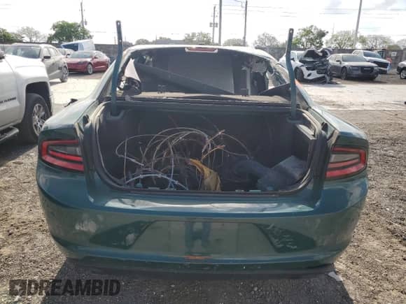 2021 Dodge Charger Police with VIN 2C3CDXKG1MH595712, listed as a Copart auction lot 54206025 with Not provided miles and Clean title. Bid and sale history available at DreamBid. Image 6.