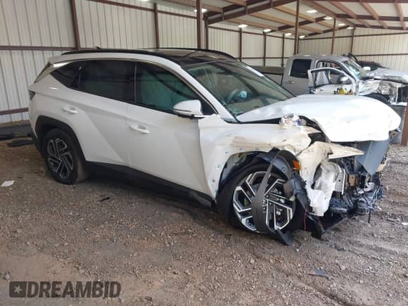 2025 Hyundai Tucson Limited с VIN KM8JEDD19SU309070, выставлен на аукционе IAAI как лот 42652220 с пробегом 2 520 миль миль и . История ставок и продаж доступна на DreamBid. Изображение 1.