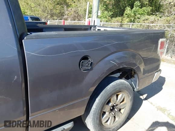 2010 Ford F-150 XL z VIN 1FTEX1C80AKA73738, wystawiony jako IAAI lot #43481590 z przebiegiem 148 559 mil mil oraz . Historia ofert i sprzedaży dostępna na DreamBid. Obrazek 17.