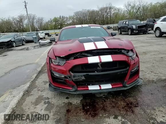 2020 Ford Mustang Shelby GT500 with VIN 1FA6P8SJ8L5500544, listed as a Copart auction lot 51481975 with 15,125 mi miles and Salvage title. Bid and sale history available at DreamBid. Image 10.