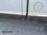 2002 GMC Sierra 1500 SLE с VIN 2GTEC19V721345759, выставлен на аукционе IAAI как лот 43026220 с пробегом 340 756 миль миль и . История ставок и продаж доступна на DreamBid. Изображение 12.