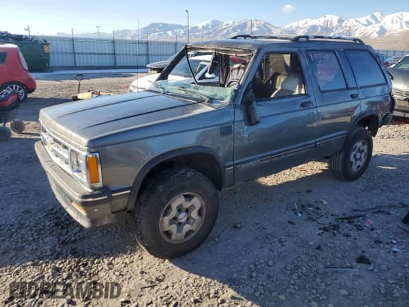 1994 Chevrolet Blazer with VIN 1GNDT13W1R0174498, listed as a Copart auction lot 88450855 with 199,905 mi miles and Salvage title. Bid and sale history available at DreamBid. Image 1.