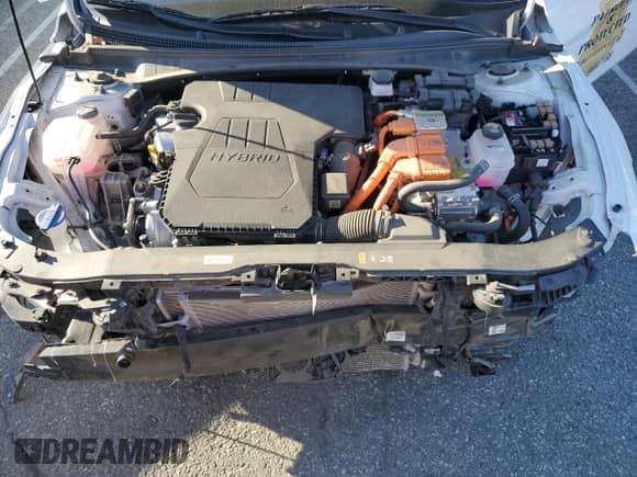 2024 Hyundai Elantra Blue z VIN KMHLM4DJ9RU105102, wystawiony jako Copart lot #48388815 z przebiegiem 31 543 mil mil oraz Szkoda całkowita • Salvage title. Historia ofert i sprzedaży dostępna na DreamBid. Obrazek 11.