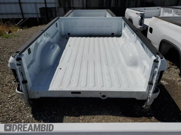 2019 Ford F-250 z VIN F0RDF250LNGBED10, wystawiony jako Copart lot #55576074 z przebiegiem Nie podano mil oraz Szkoda całkowita • Salvage title. Historia ofert i sprzedaży dostępna na DreamBid. Obrazek 6.